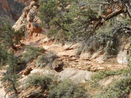 canyon overlook trail hike zion