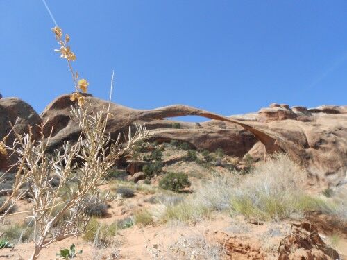 land scape arch