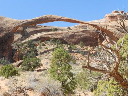 landscape arch devils garden Arches National Park