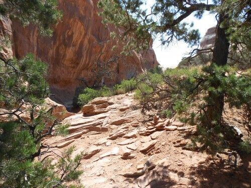 partition arch trail