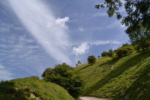 south downs national park