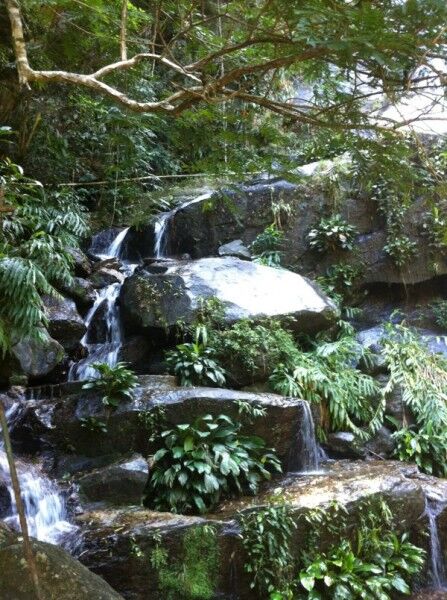  Rio Corcovado Waterfall Brazil