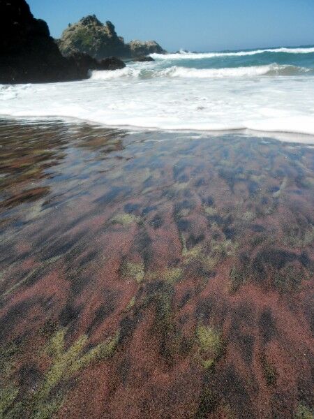 purple sand