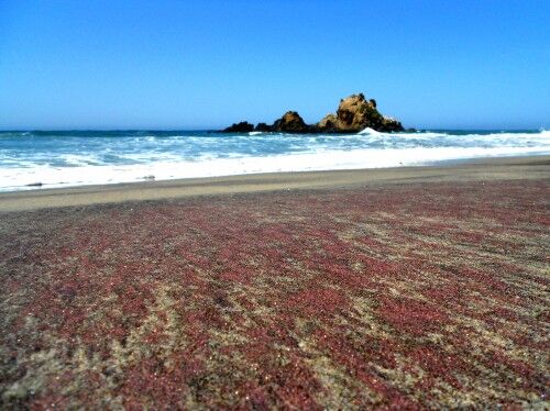 purple sand beach