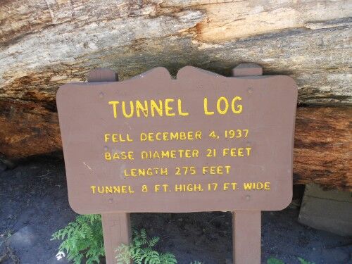 tunnel log sign Sequoia National Park