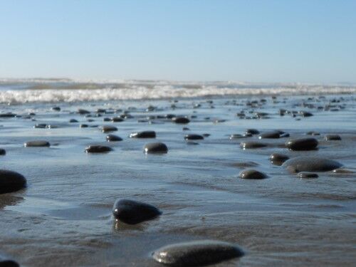 beach #1 Olympic National Park