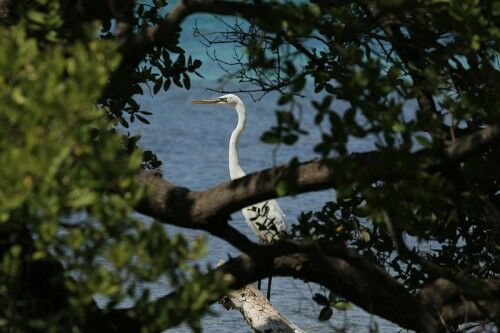 Biscayne national park