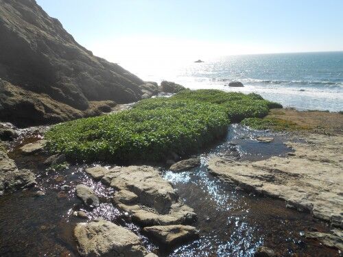 the top of Alamere waterfall