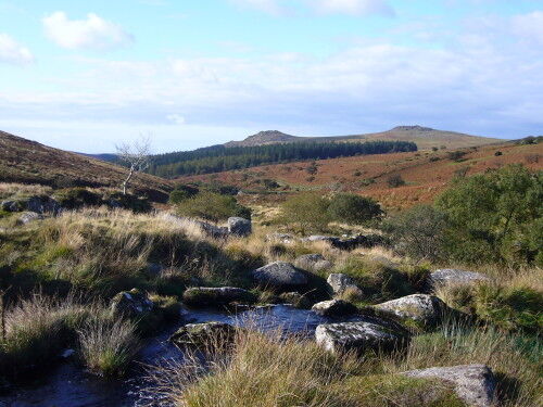 UK national parks Dartmoor